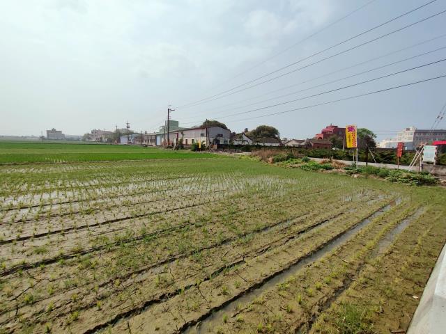 埔鹽農地-10