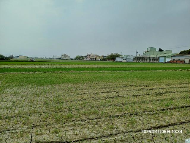 埔鹽農地-4