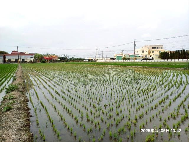 埔鹽農地-9