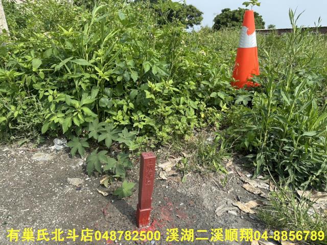 秀水農地-11