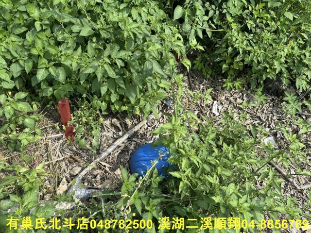 秀水農地-12