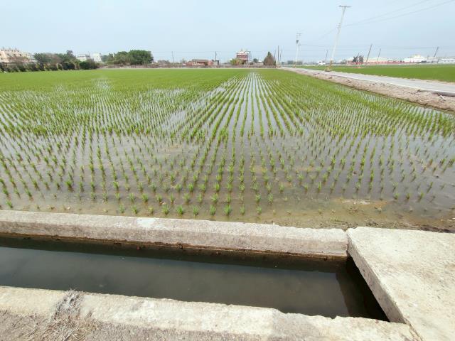 福興農地-4