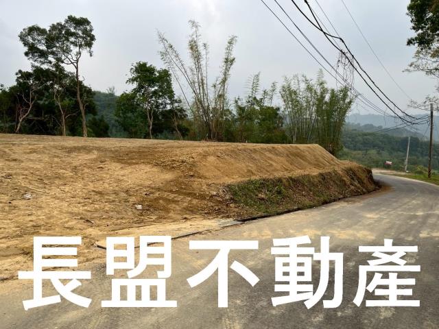 東勢休閒地-1