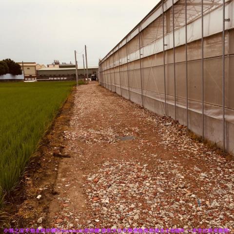 彰化花壇農地-5
