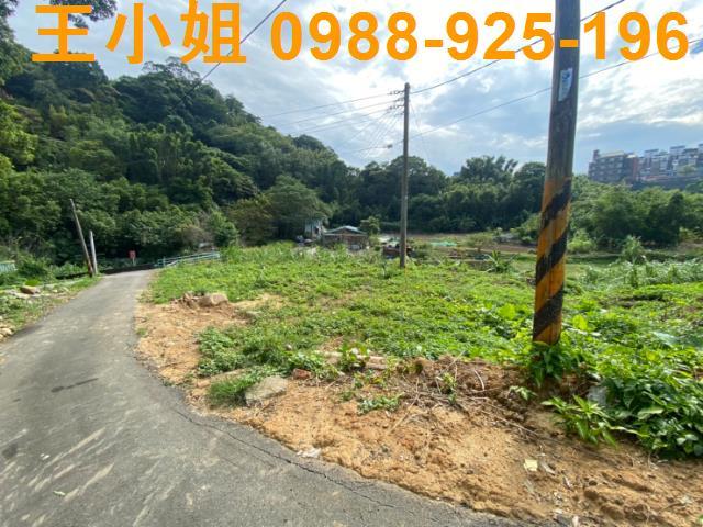 大溪農地-4