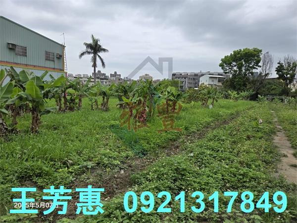 潭子農地-1