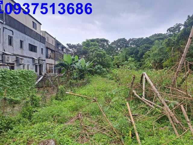 宜蘭農地-1