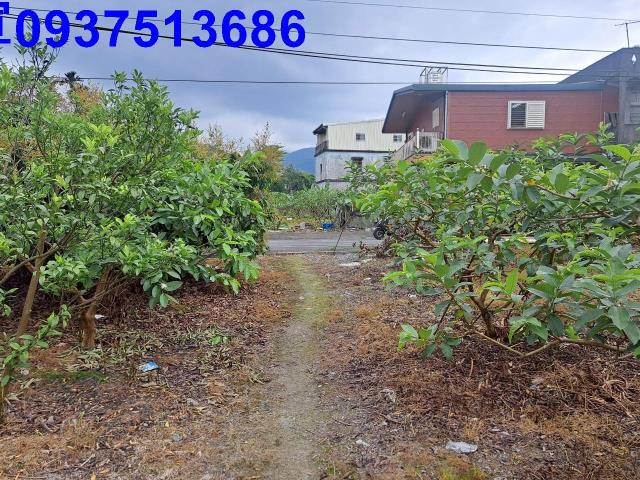 宜蘭農地-1