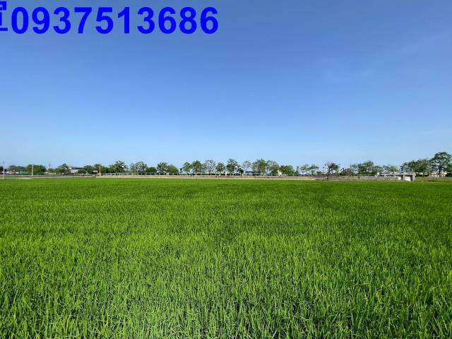 宜蘭農地-2