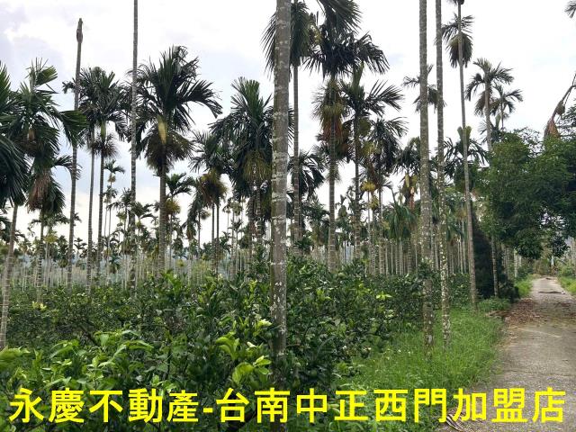 白河農地-3