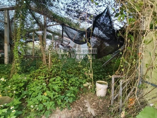 嘉義中埔農地-9