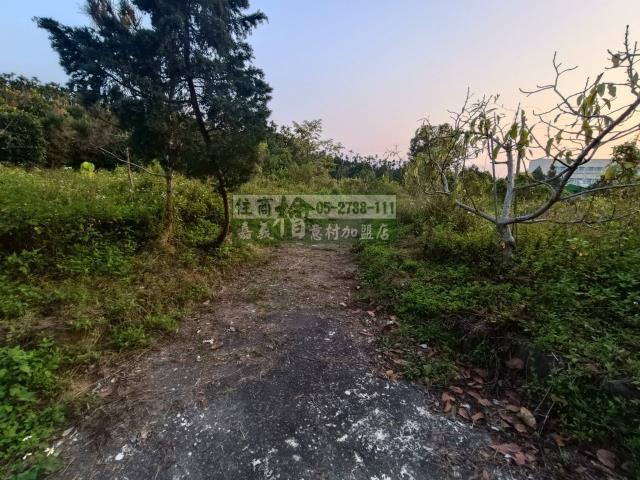 嘉義中埔農地-1