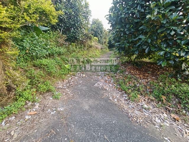 嘉義中埔農地-3