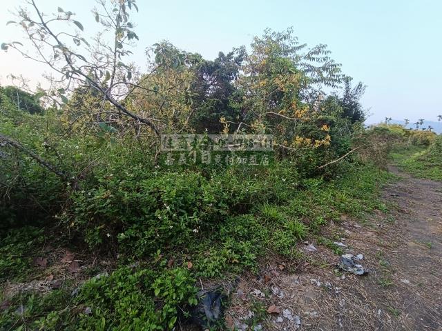嘉義中埔農地-5
