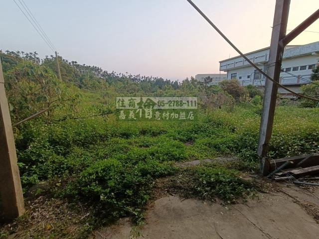 嘉義中埔農地-8