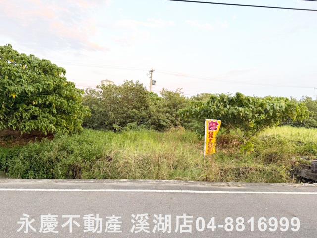 和美農地-8