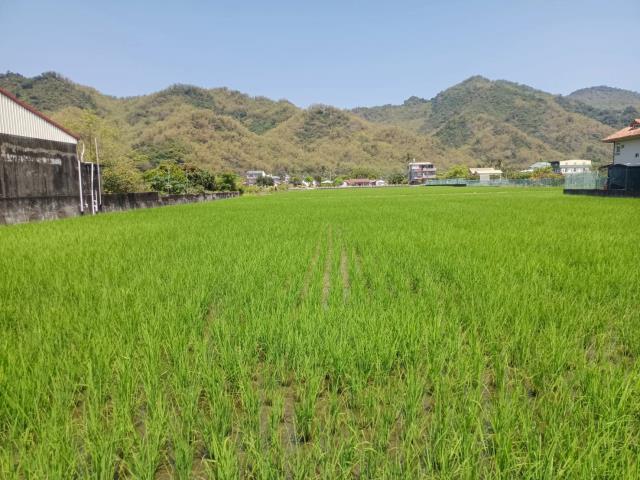 高雄美濃農地-4