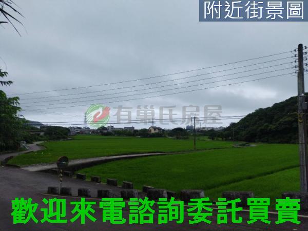金山農地-1