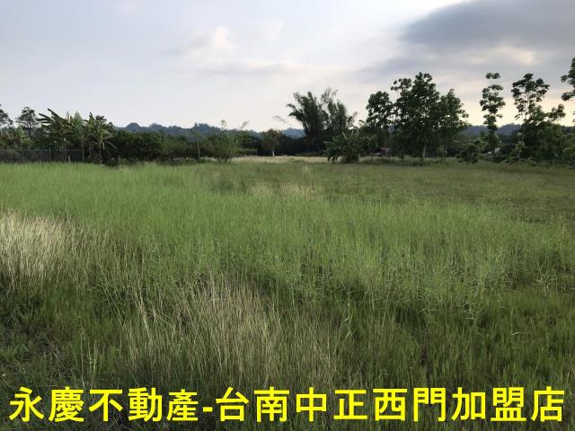 左鎮農地-3