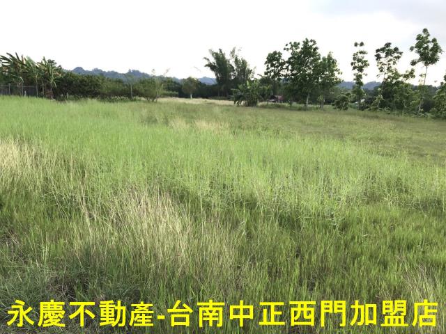 左鎮農地-5
