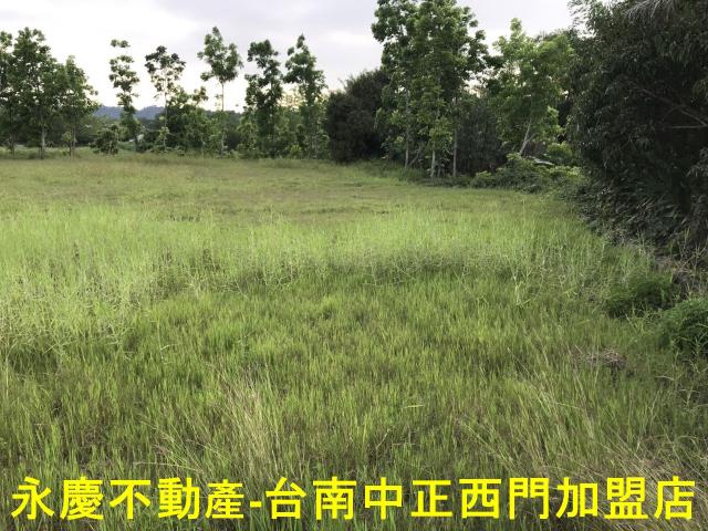 左鎮農地-6