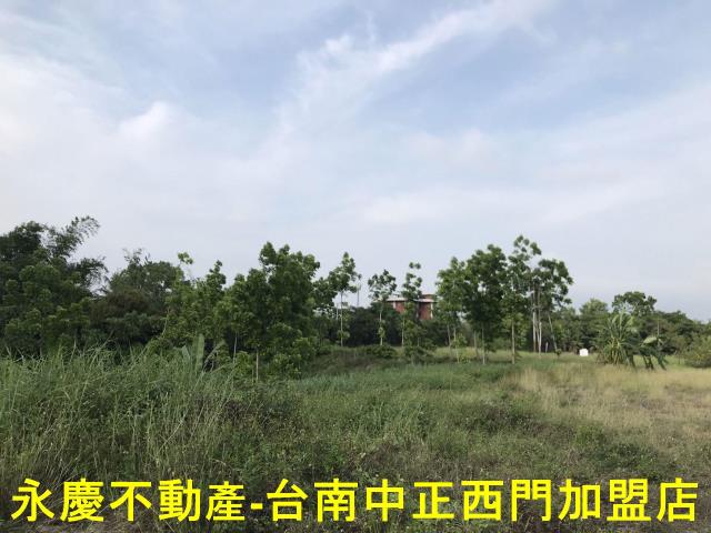 左鎮農地-7