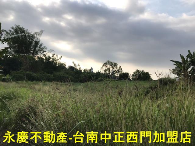 左鎮農地-8