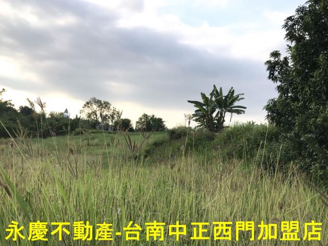 左鎮農地-9
