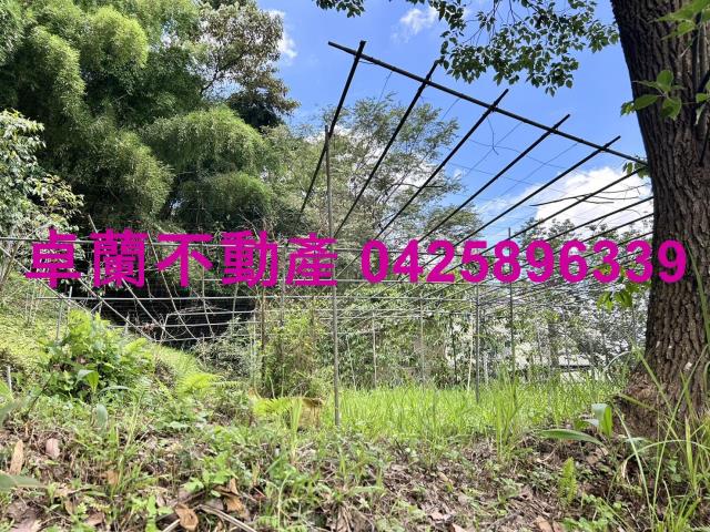 卓蘭農地-12