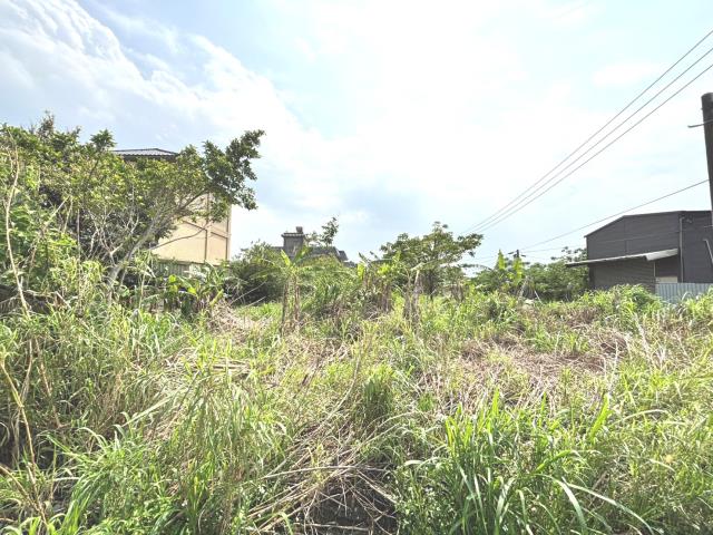 桃園農地-6