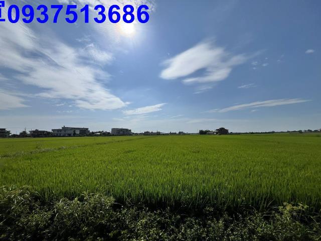 宜蘭壯圍農地-11
