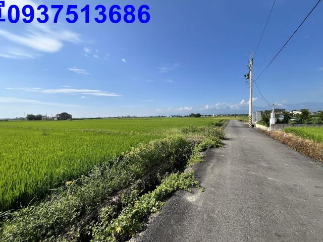 宜蘭壯圍農地-12