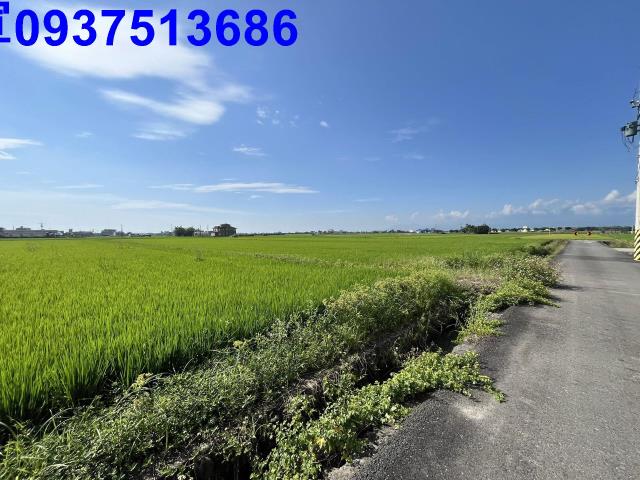 宜蘭壯圍農地-13