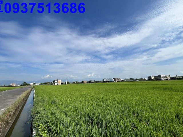 宜蘭壯圍農地-1