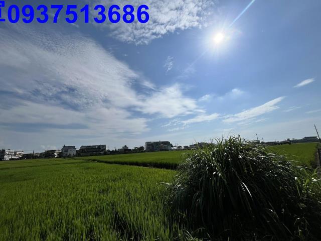 宜蘭壯圍農地-3