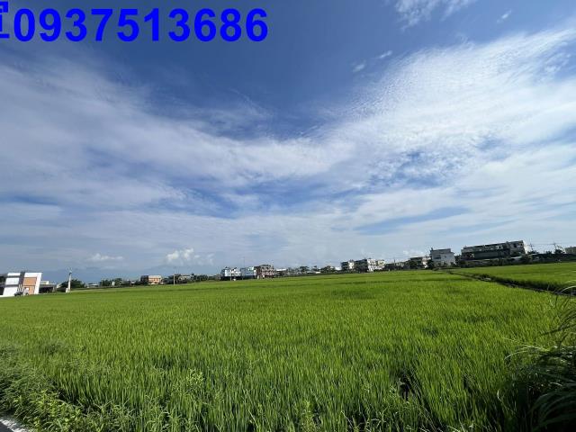 宜蘭壯圍農地-6