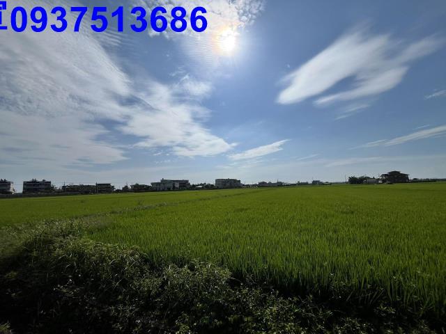宜蘭壯圍農地-9