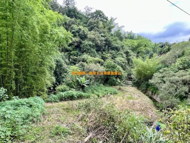 南投農地-2