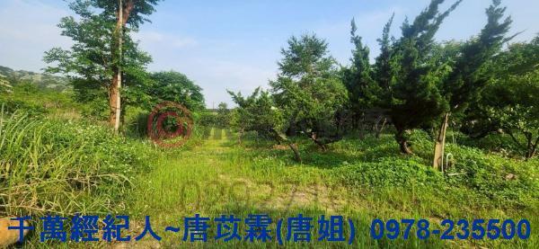 新竹湖口農地-1