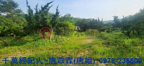 新竹湖口農地-2