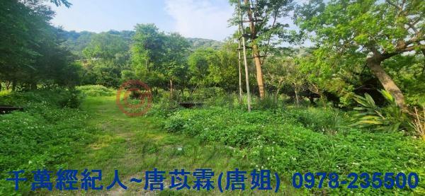 新竹湖口農地-3