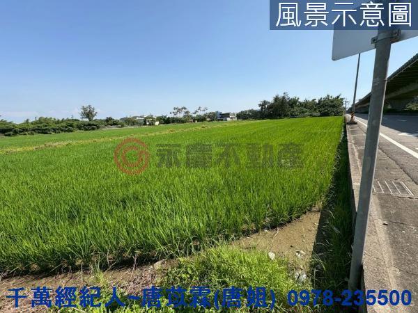 新竹新豐農地-1