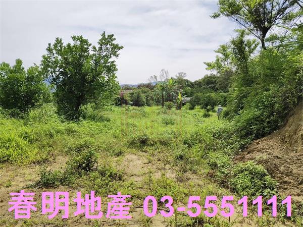 新竹農地-10
