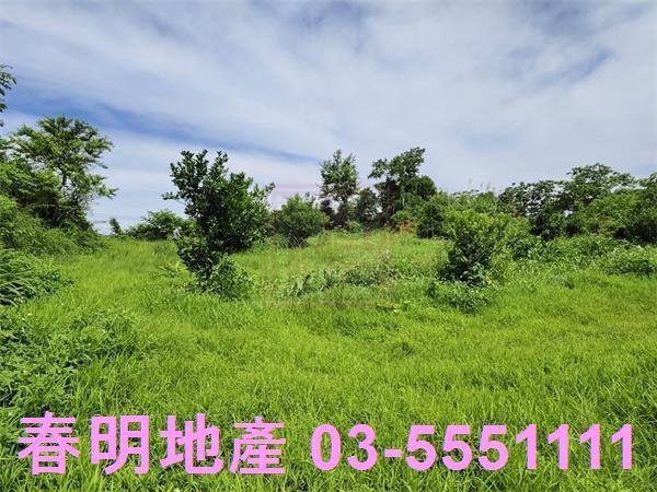 新竹農地-4