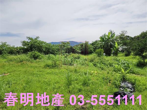 新竹農地-6
