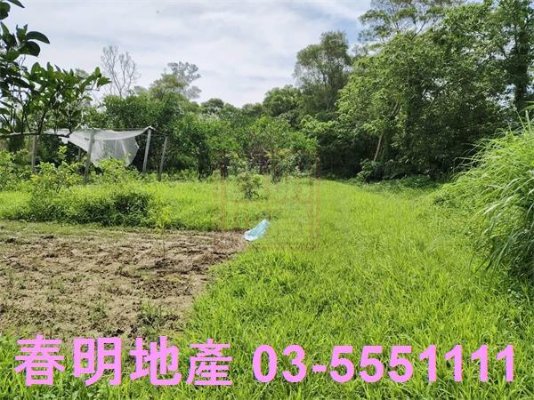 新竹農地-7