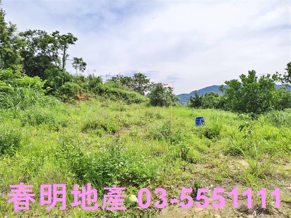 新竹農地-9