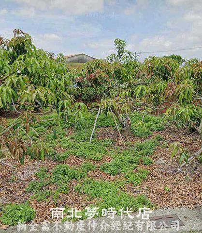 台南楠西建地-1