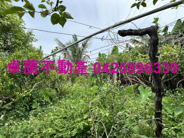苗栗卓蘭農地-2