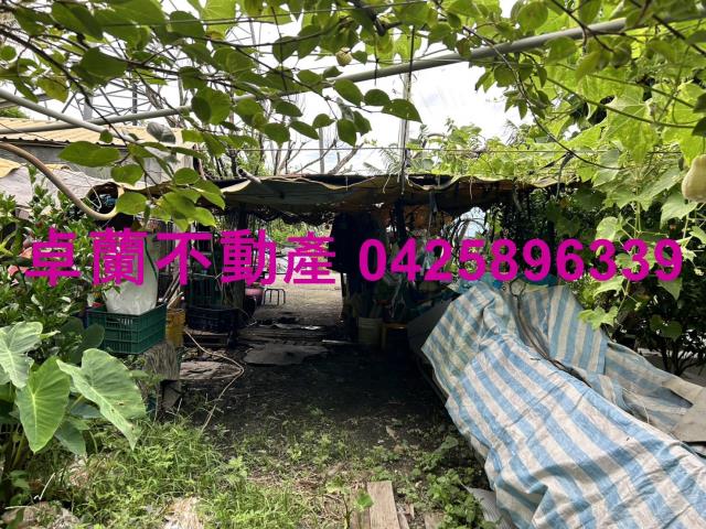 苗栗卓蘭農地-3